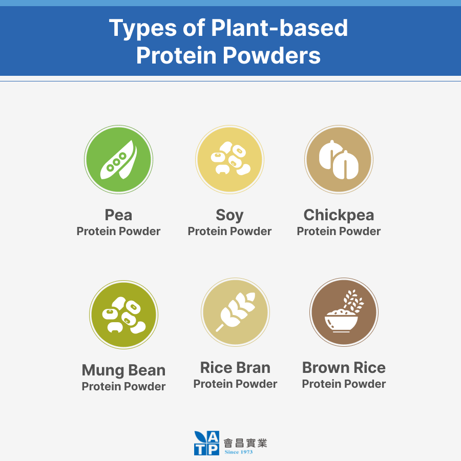 Types of Plant-based Protein Powder